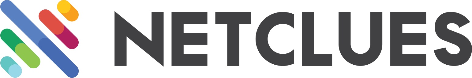 Netclues Test Business b