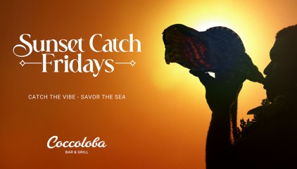 Sunset Catch Fridays