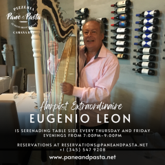 Harpist Extraordinaire at Pane & Pasta