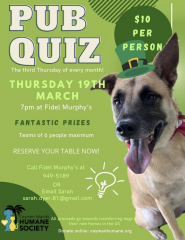 St Patrick Pub Quiz (Charity)