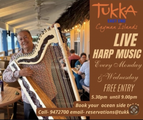 Live Harp Music