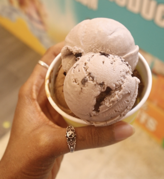 Caykool | Ice Cream Parlor
