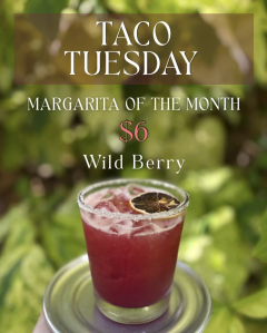 Margarita of the Month